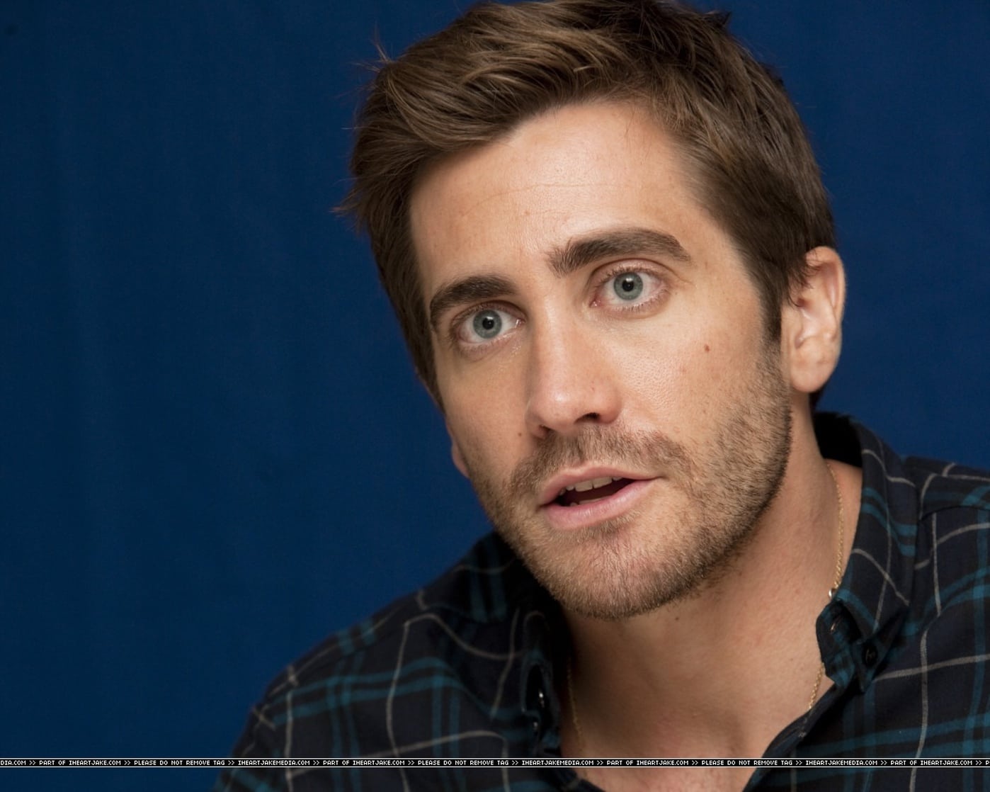 Image of Jake Gyllenhaal