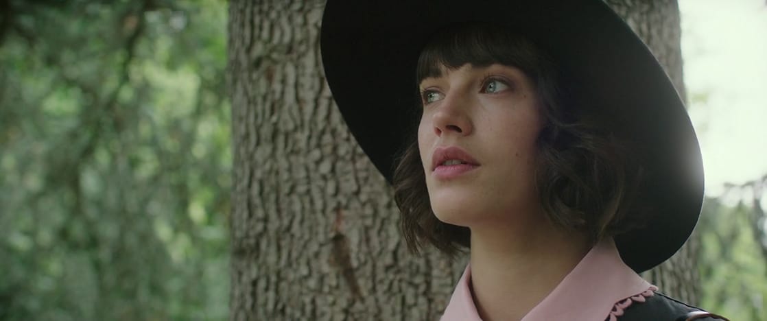 This Beautiful Fantastic                                  (2016)