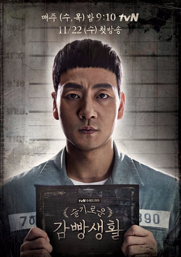 Picture of Prison Playbook