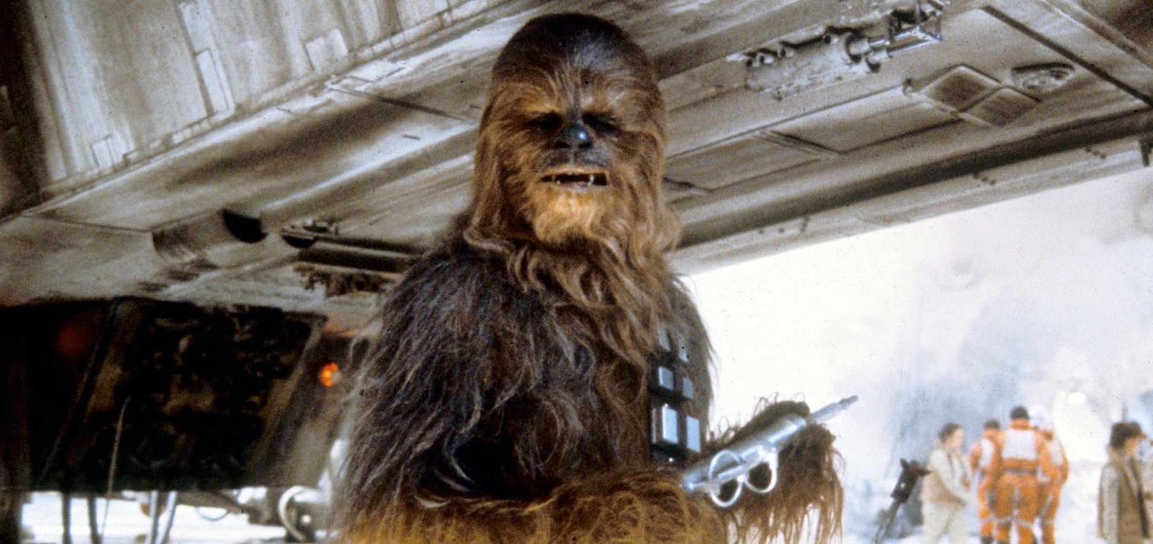 Chewbacca Chewbacca