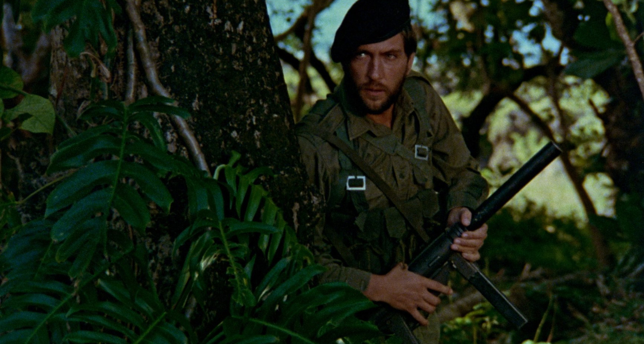 Attack Force Z                                  (1981)