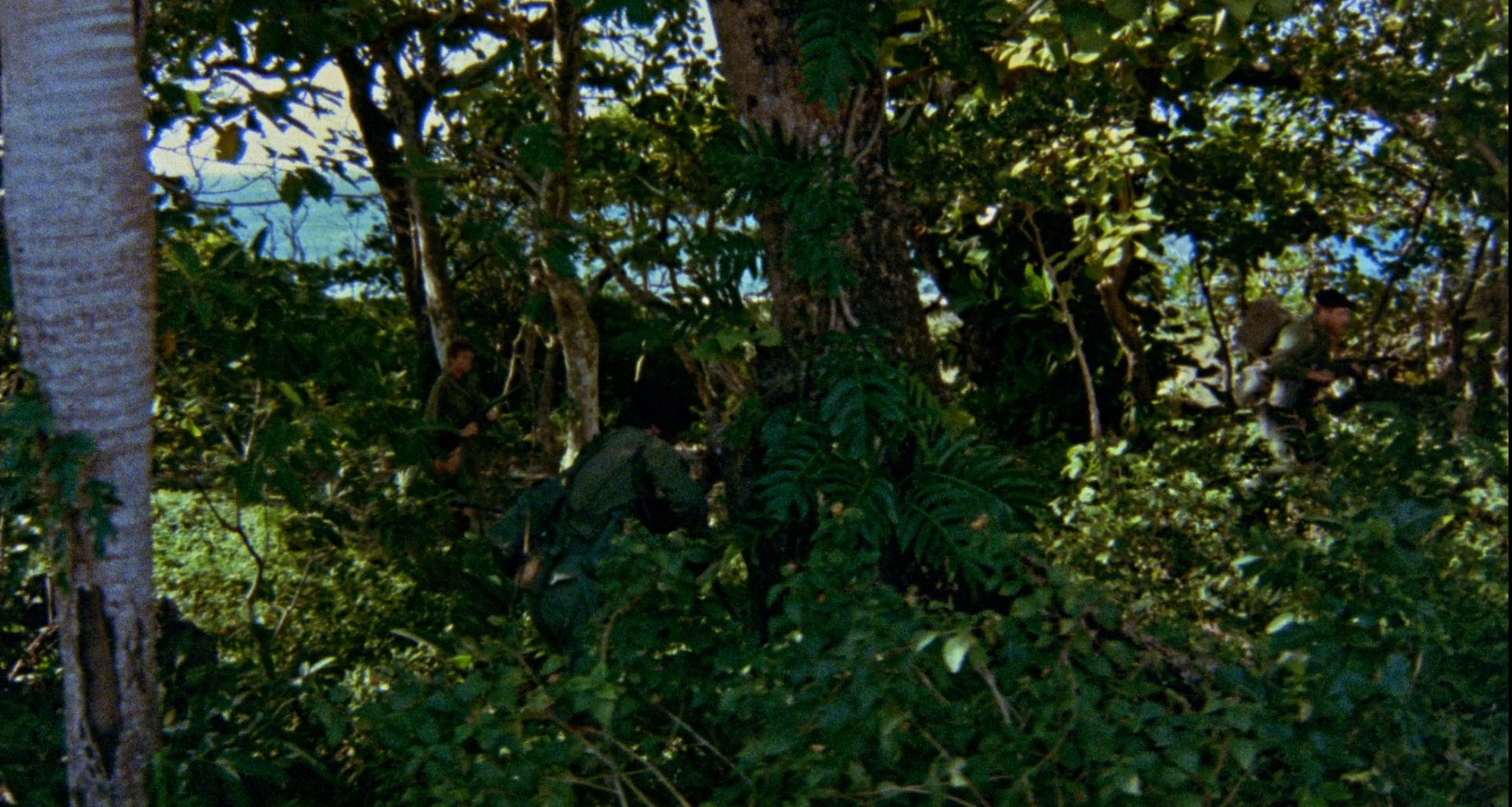 Attack Force Z                                  (1981)