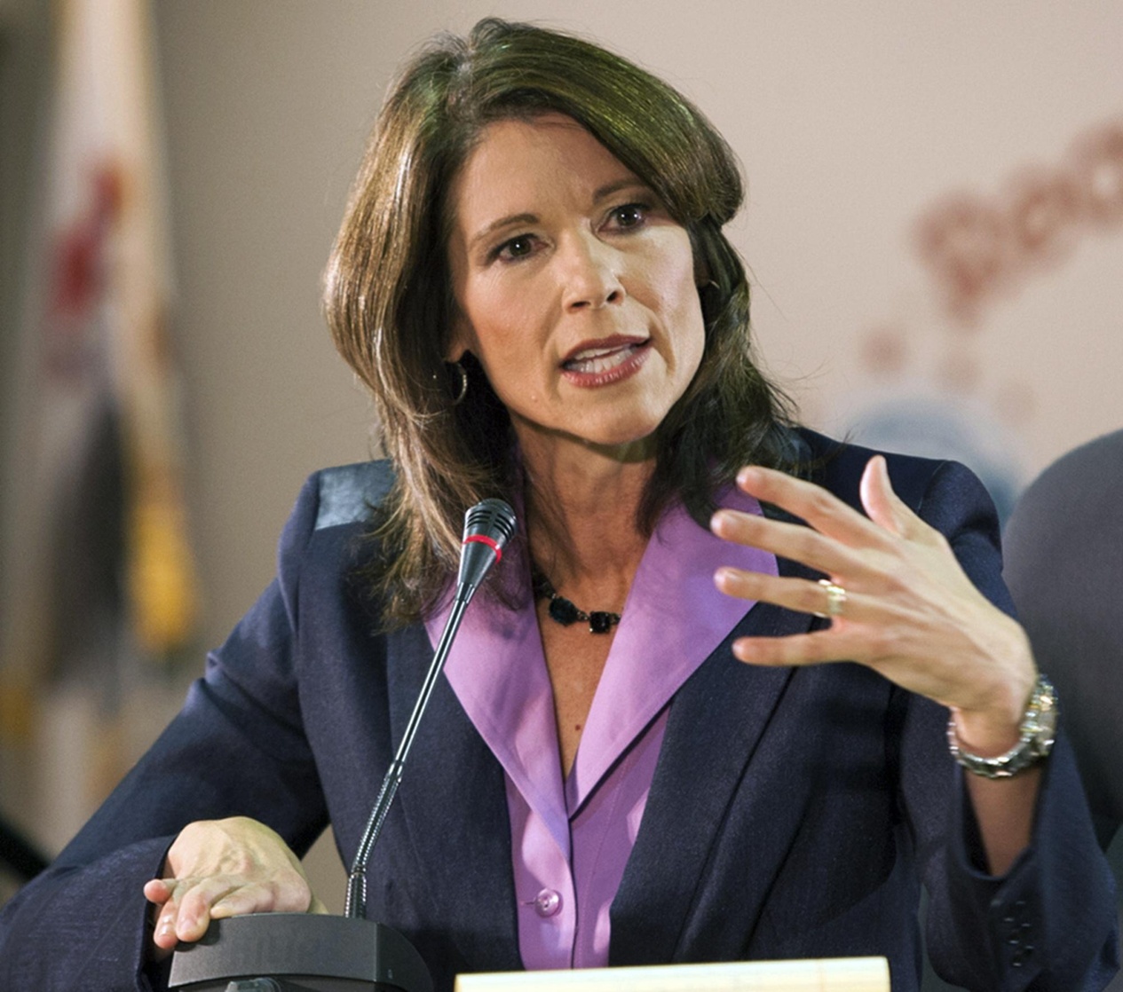 Cheri Bustos