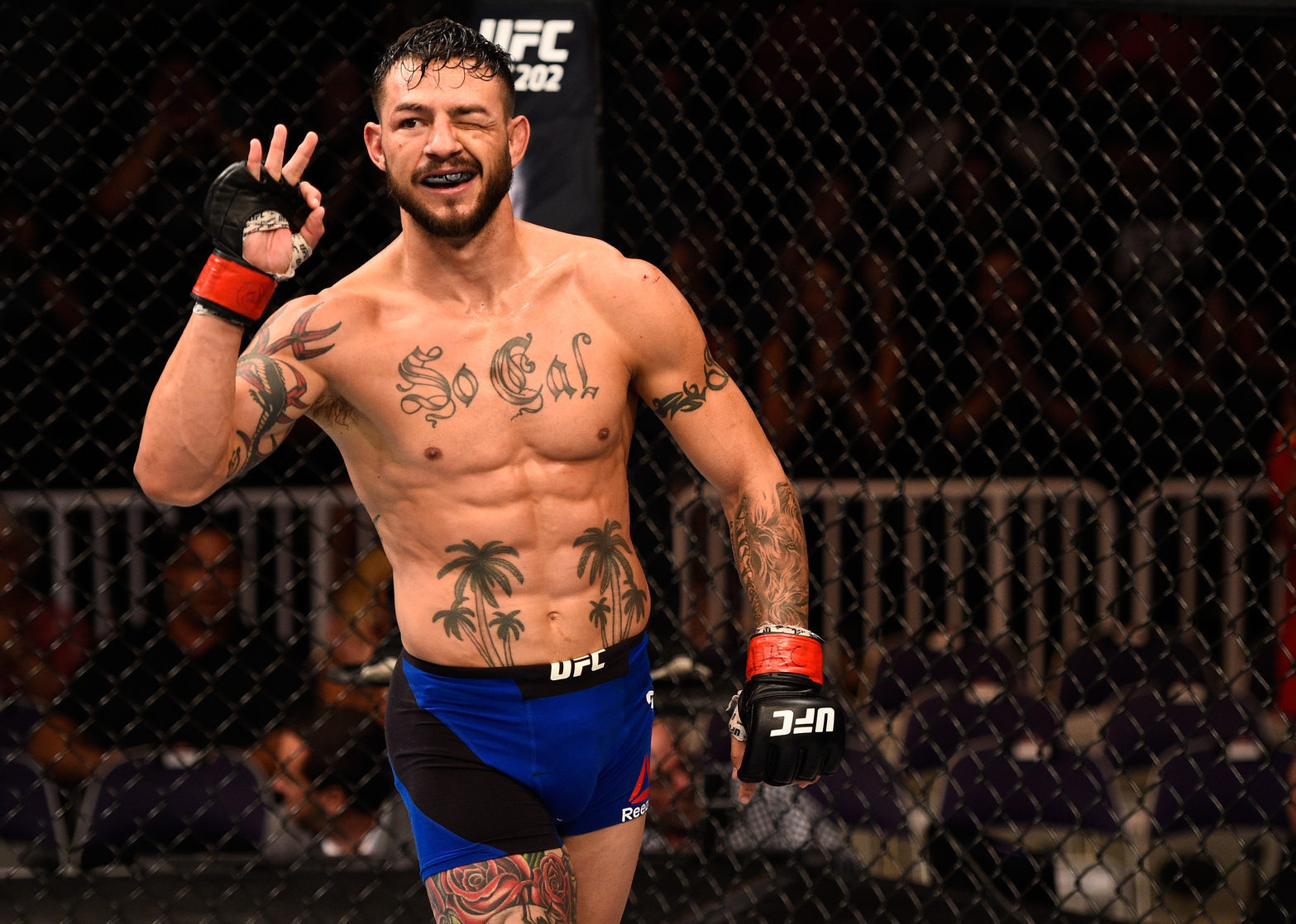 Cub Swanson