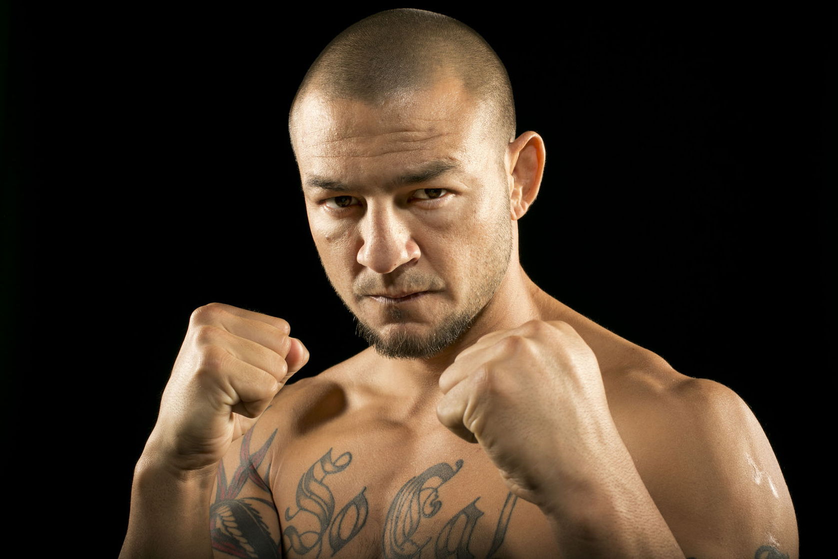 Cub Swanson