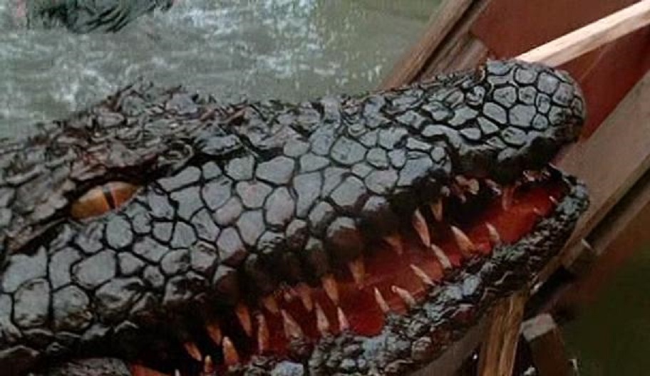 Killer Crocodile