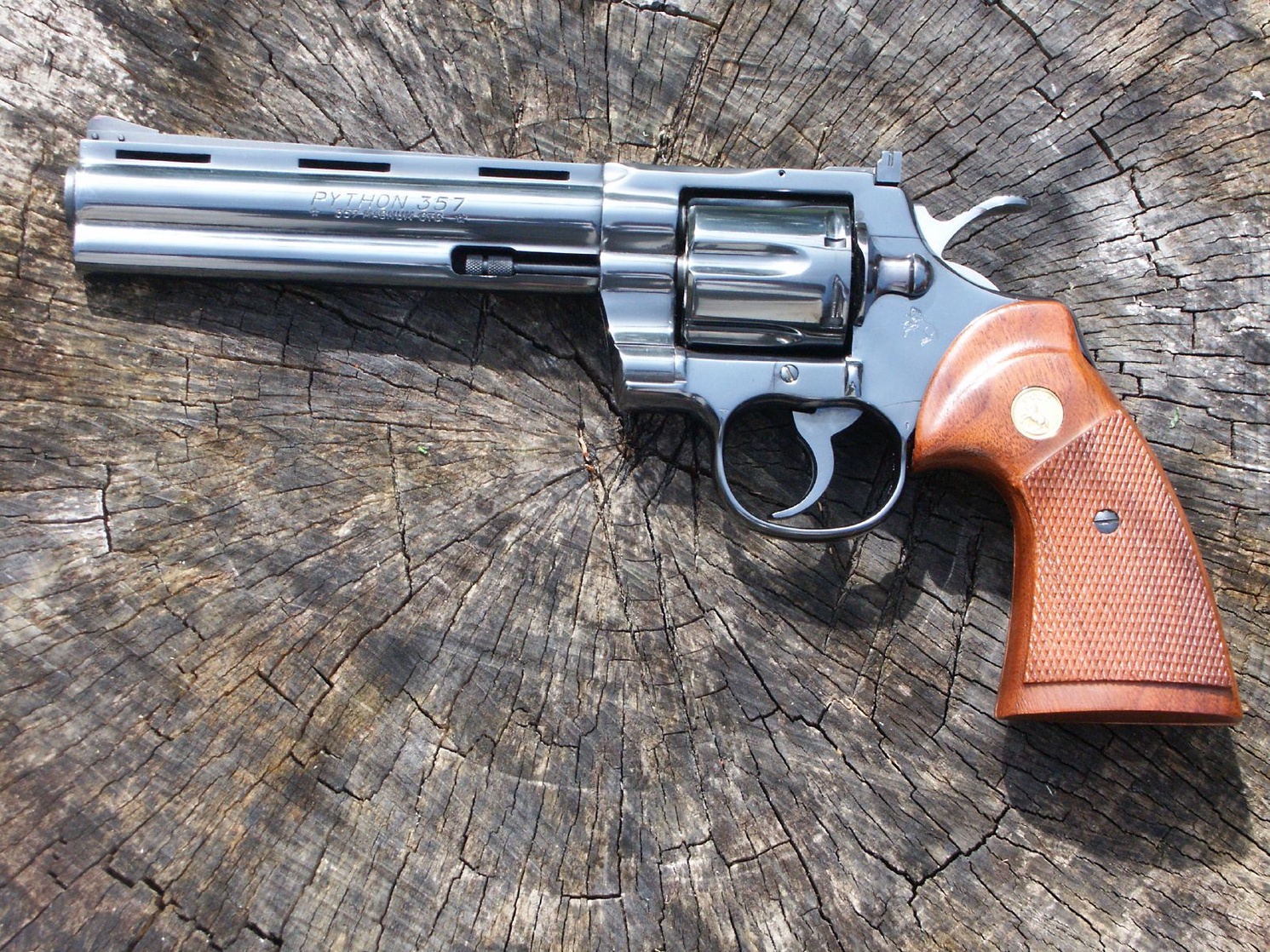 Colt Python Colt Python