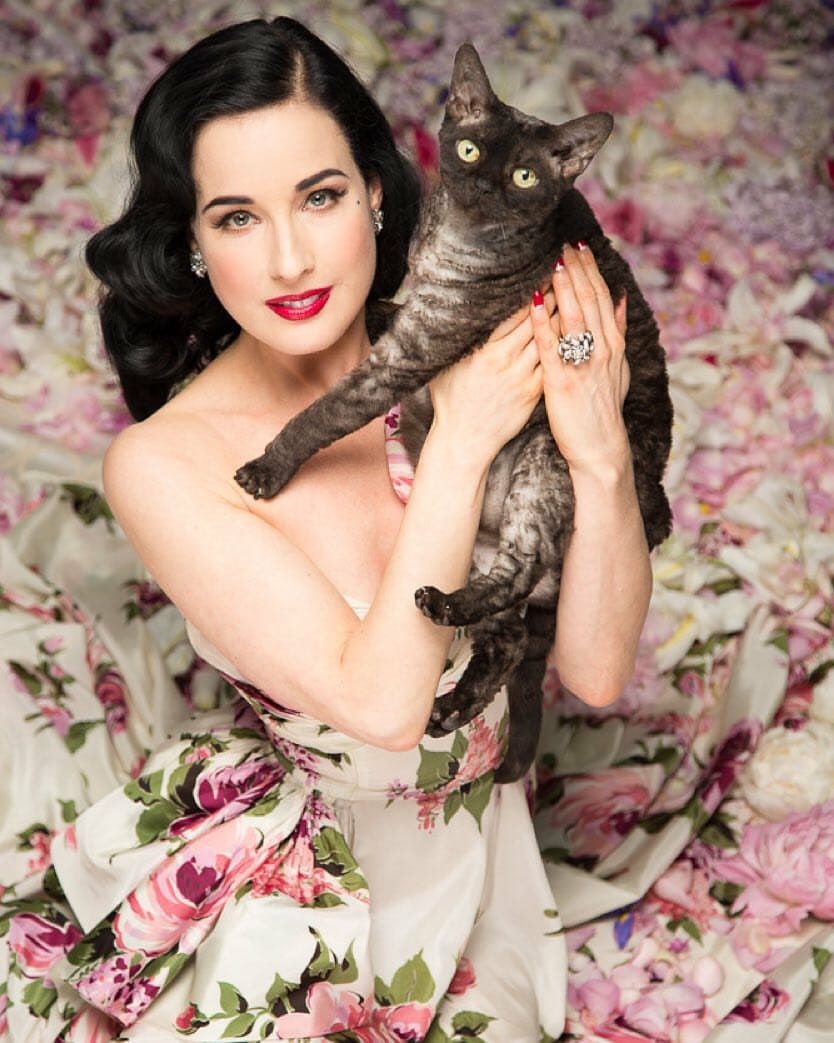 dita von teese t shirt