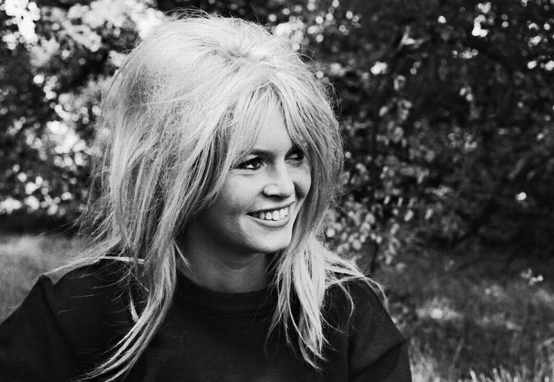 Brigitte Bardot Brigitte Bardot