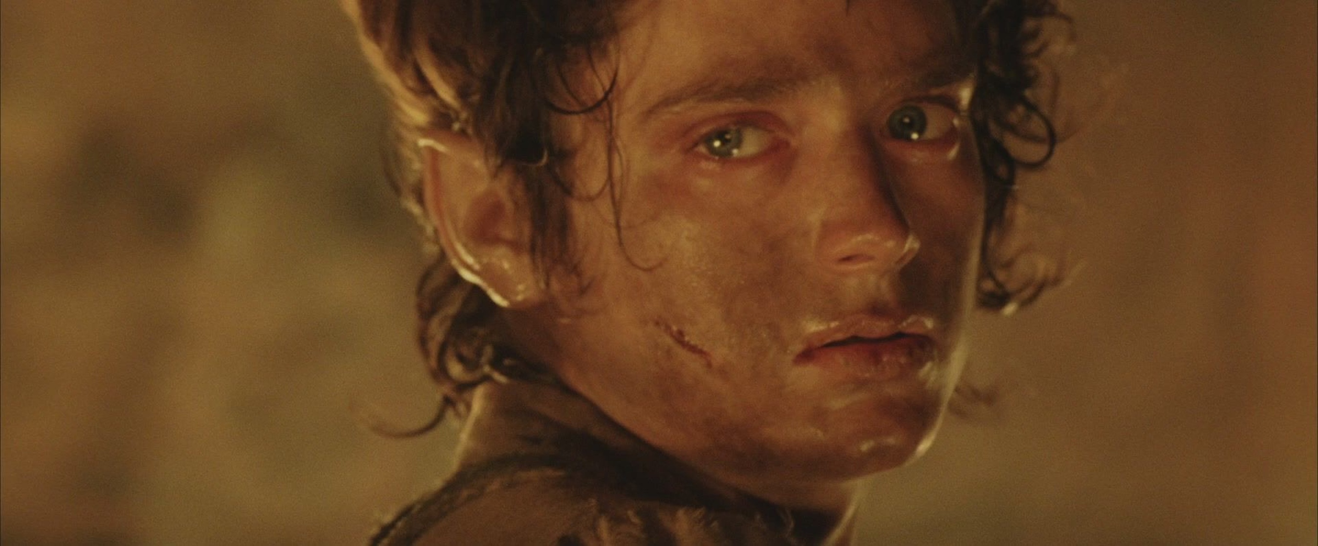 The Lord of the Rings: The Return of the King