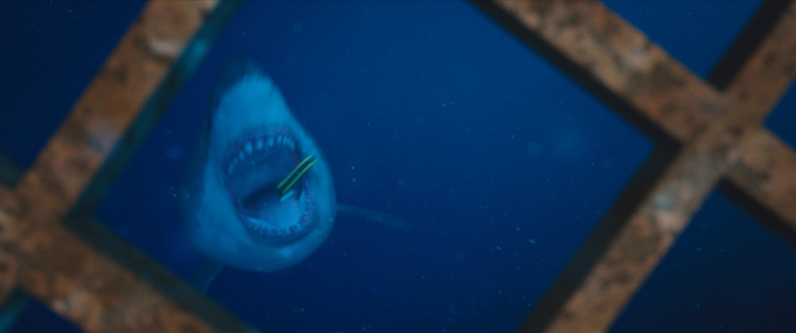 47 Meters Down 47 Meters Down