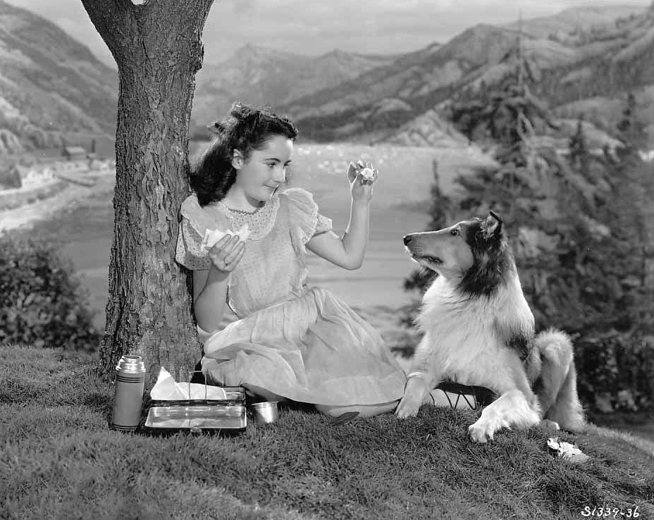 Elizabeth Taylor