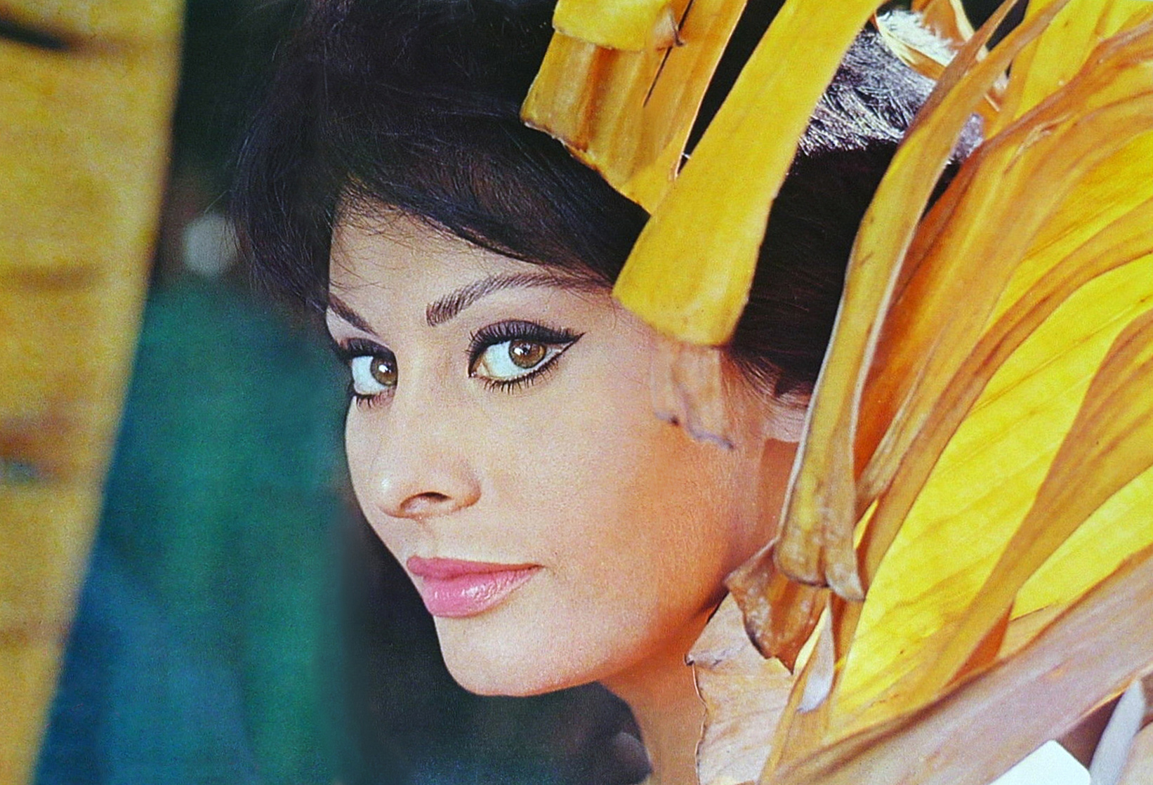 Sophia Loren Sophia Loren
