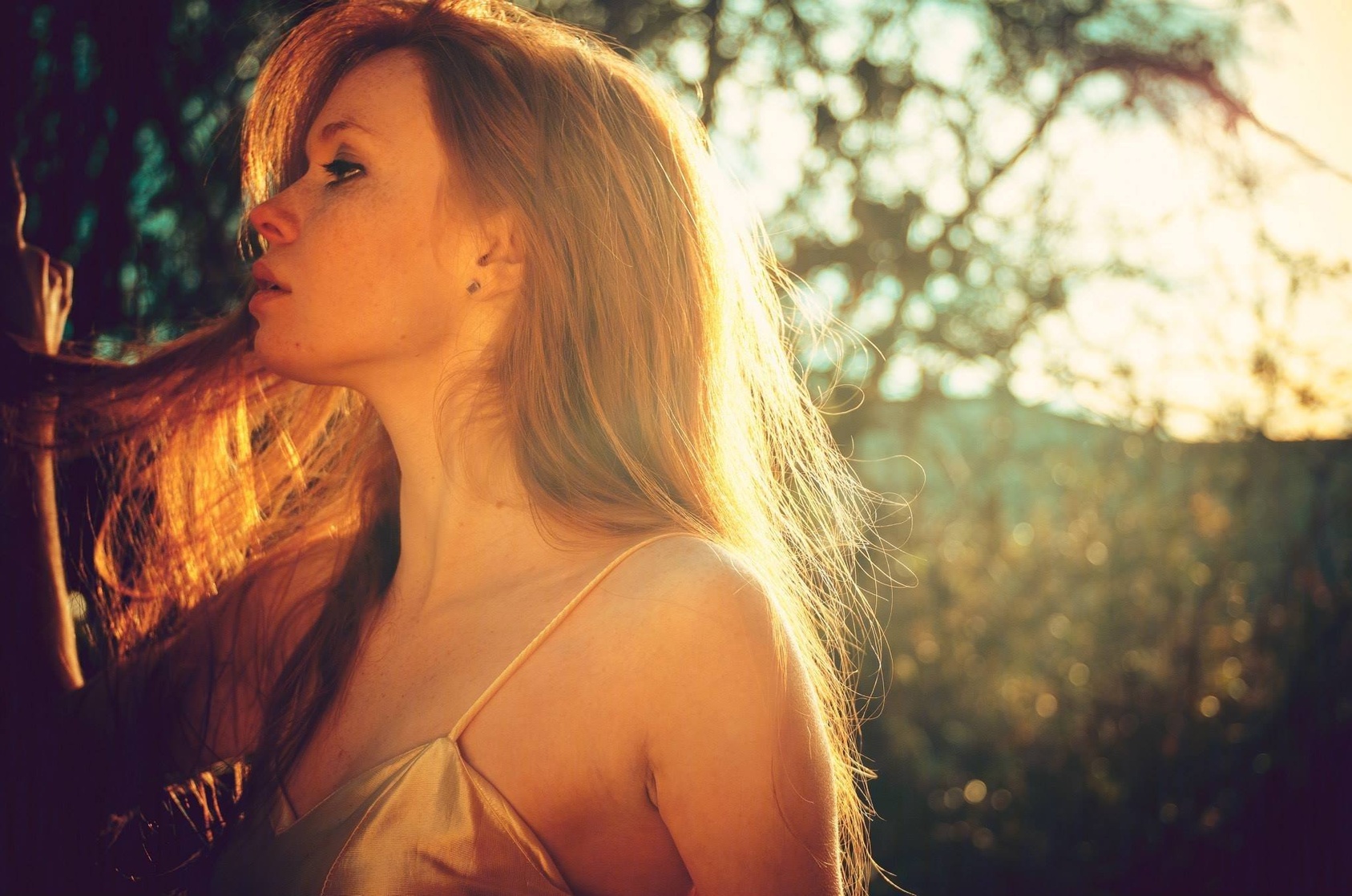 Liz Dorsey