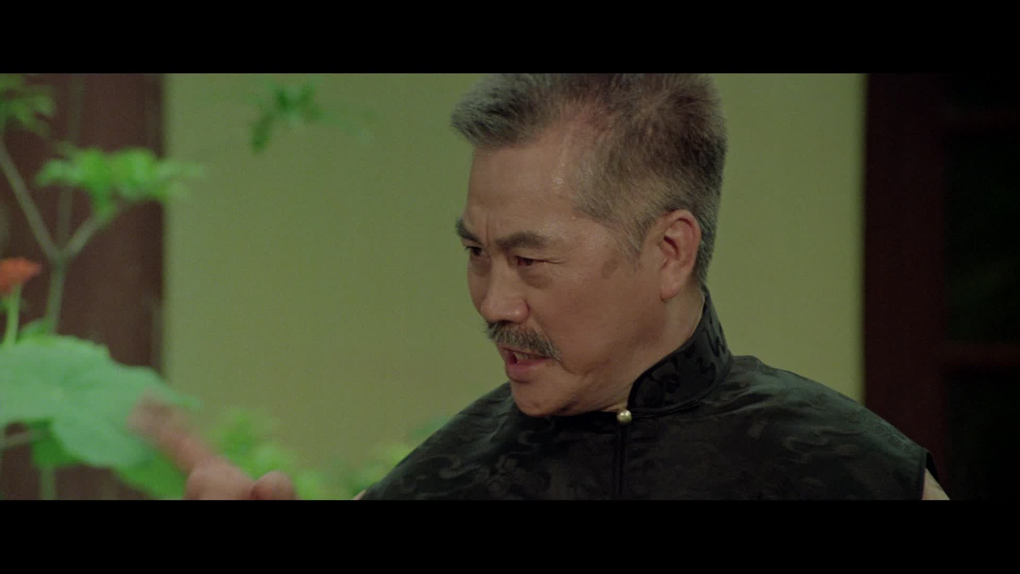 Drunken Master