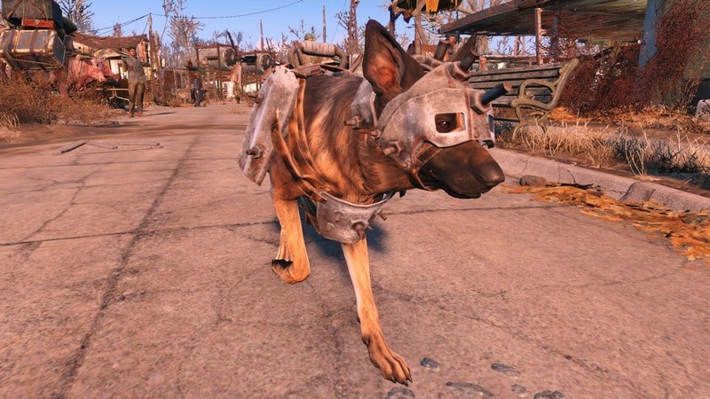 dogmeat from fallout 4