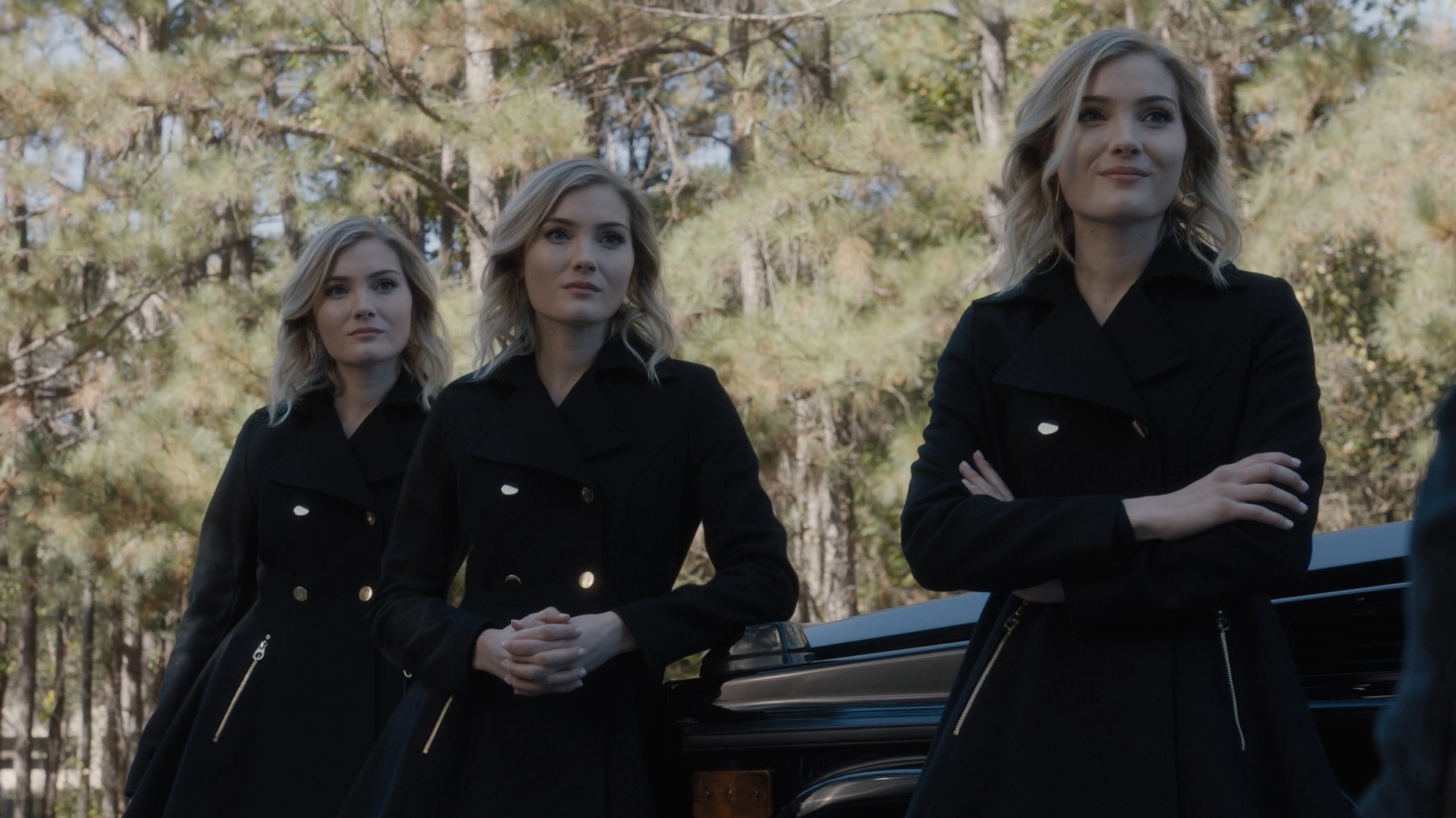 Stepford Cuckoos