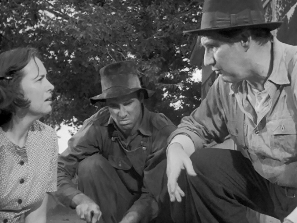 The Alfred Hitchcock Hour