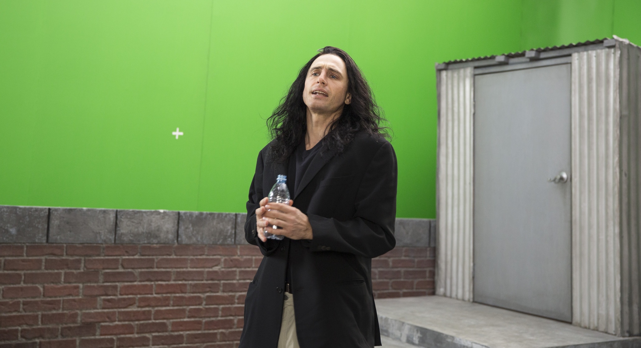 The Disaster Artist The Disaster Artist