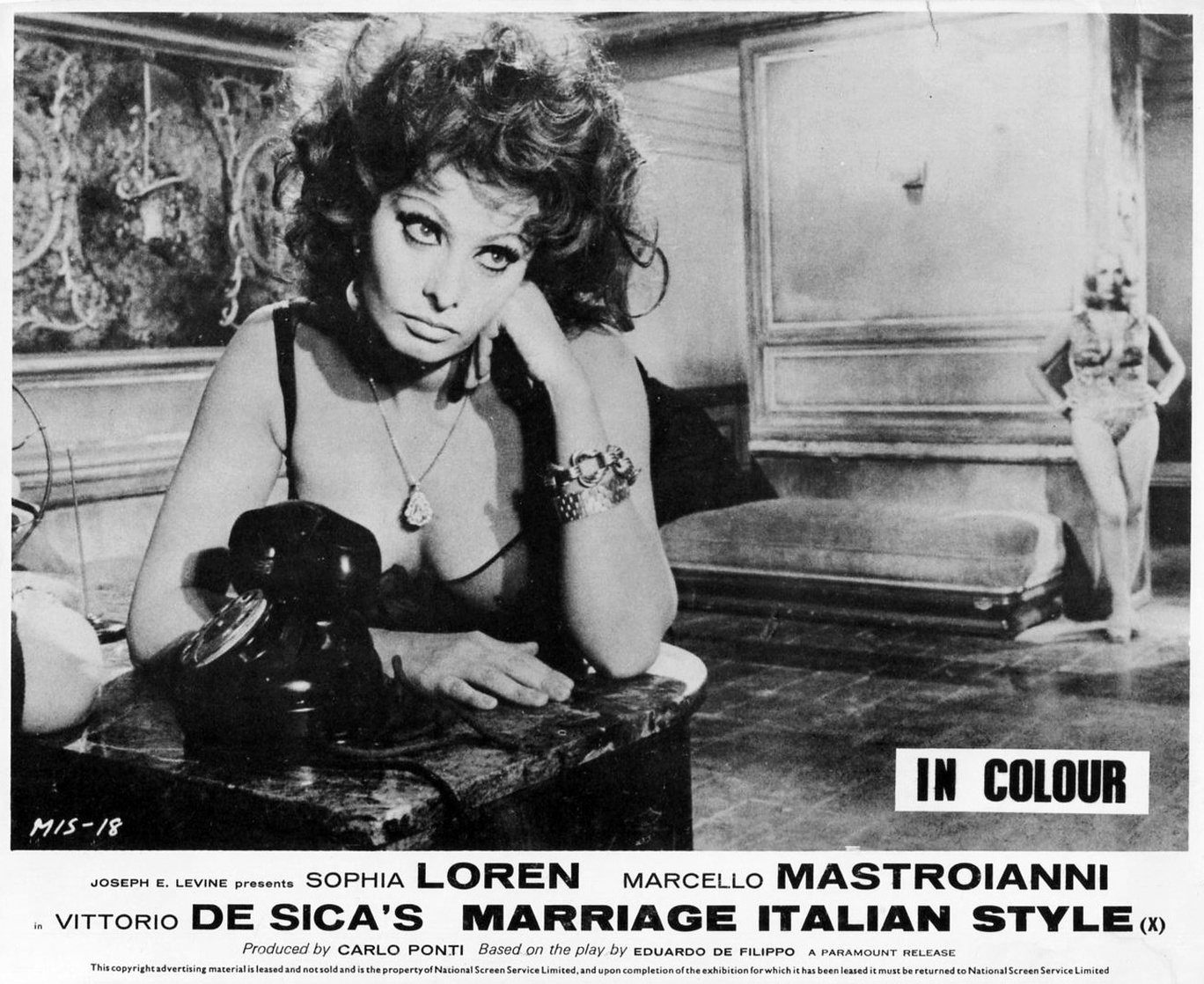 Sophia Loren Sophia Loren