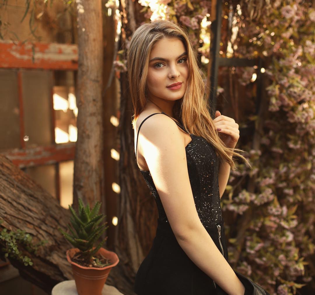 Brighton Sharbino