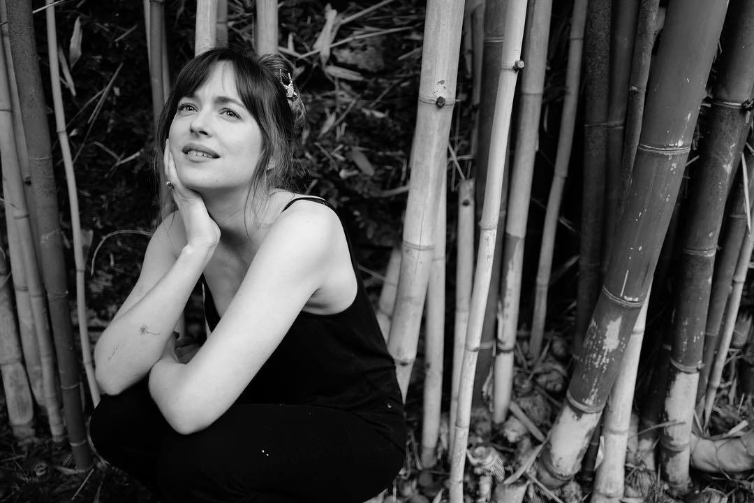 Dakota Johnson
