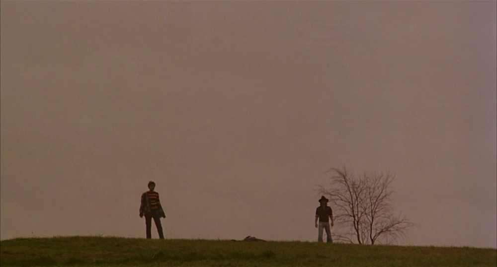 Dawn of the Dead