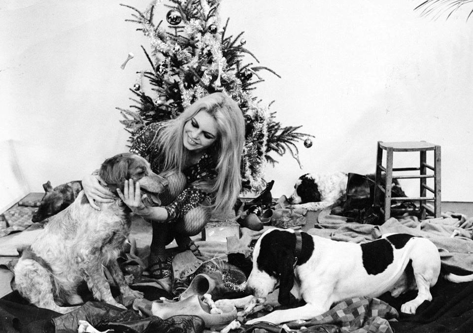 Brigitte Bardot