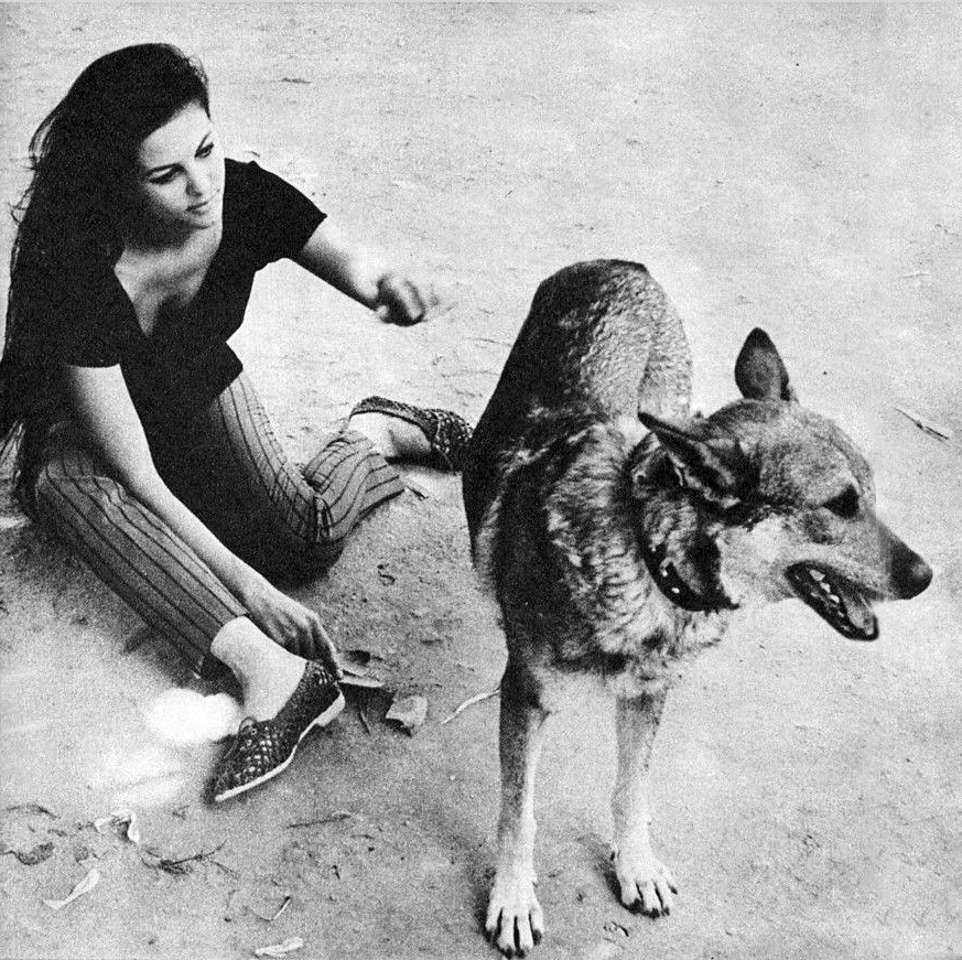 Claudia Cardinale Claudia Cardinale