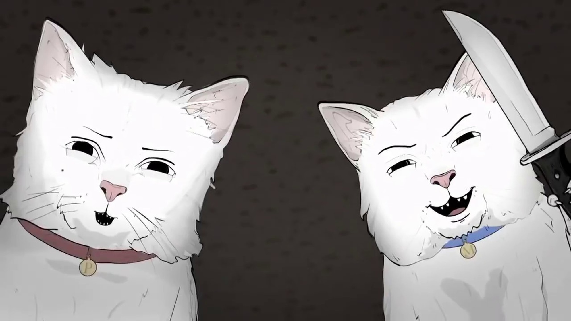 Animals