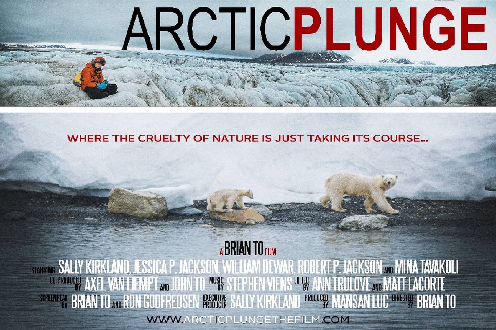 Arctic Plunge Arctic Plunge