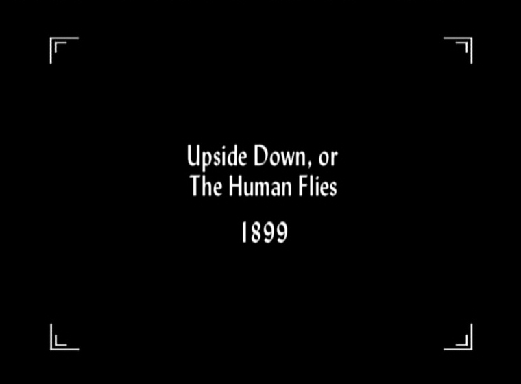 Upside Down; or, The Human Flies