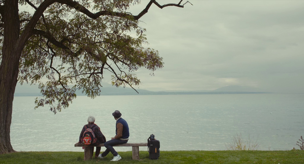 Faces Places (2017) Faces Places (2017)