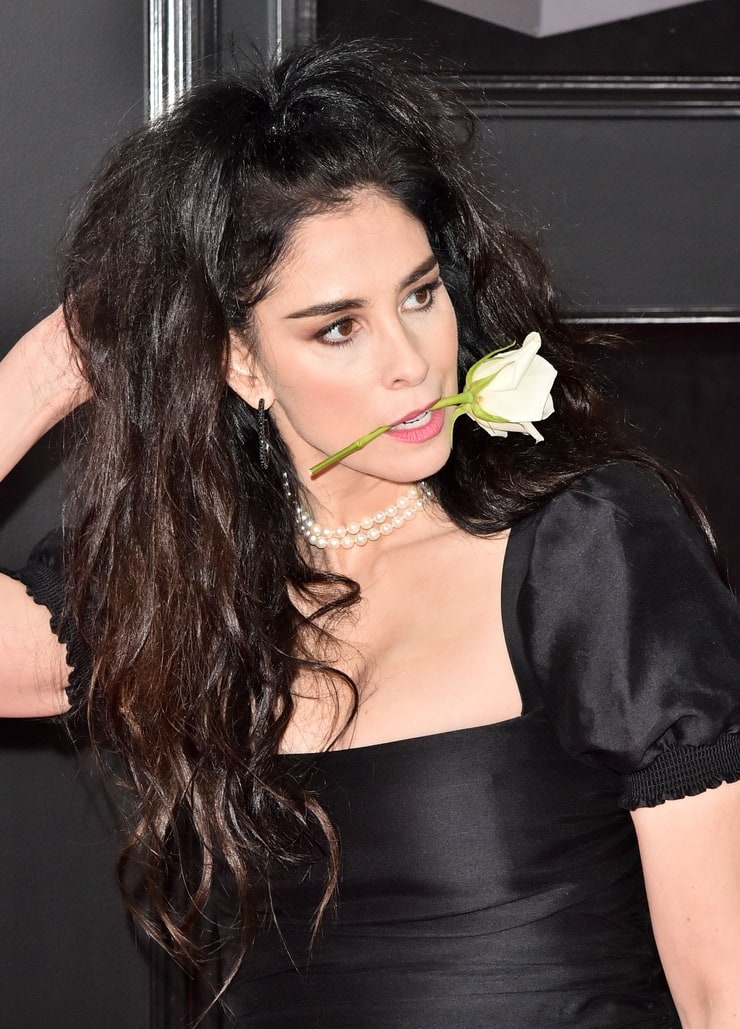 Picture of Sarah Silverman