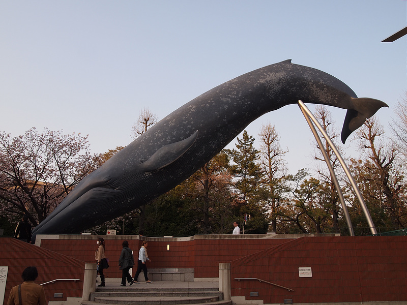 National Museum of Nature and Science