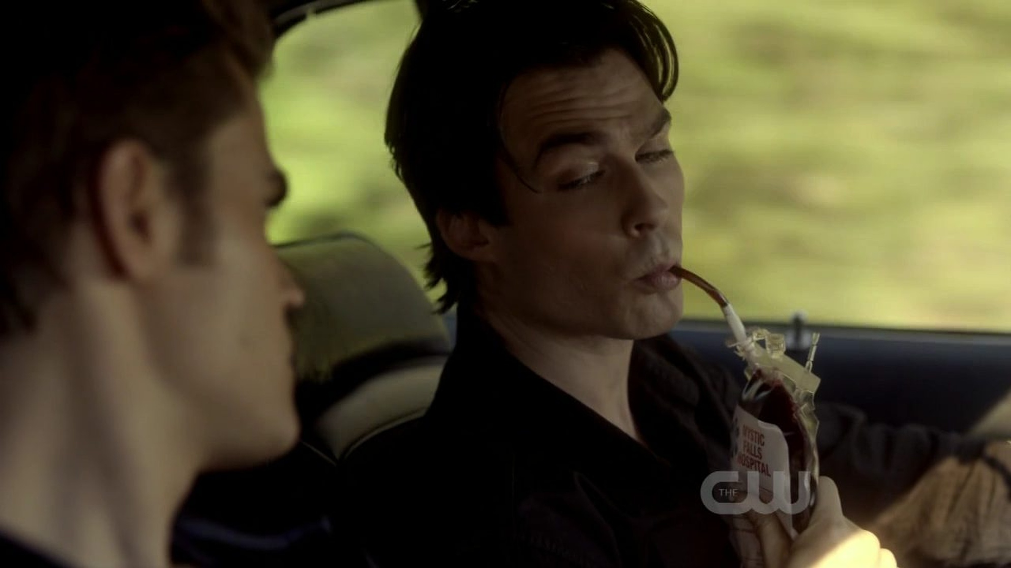 Ian Somerhalder