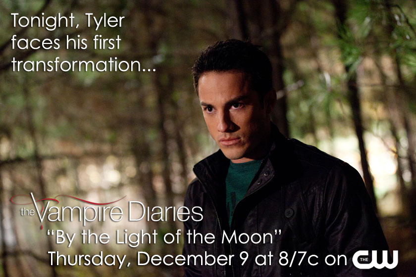 The Vampire Diaries The Vampire Diaries