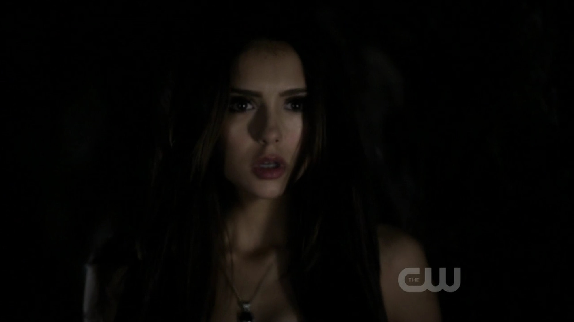 Nina Dobrev
