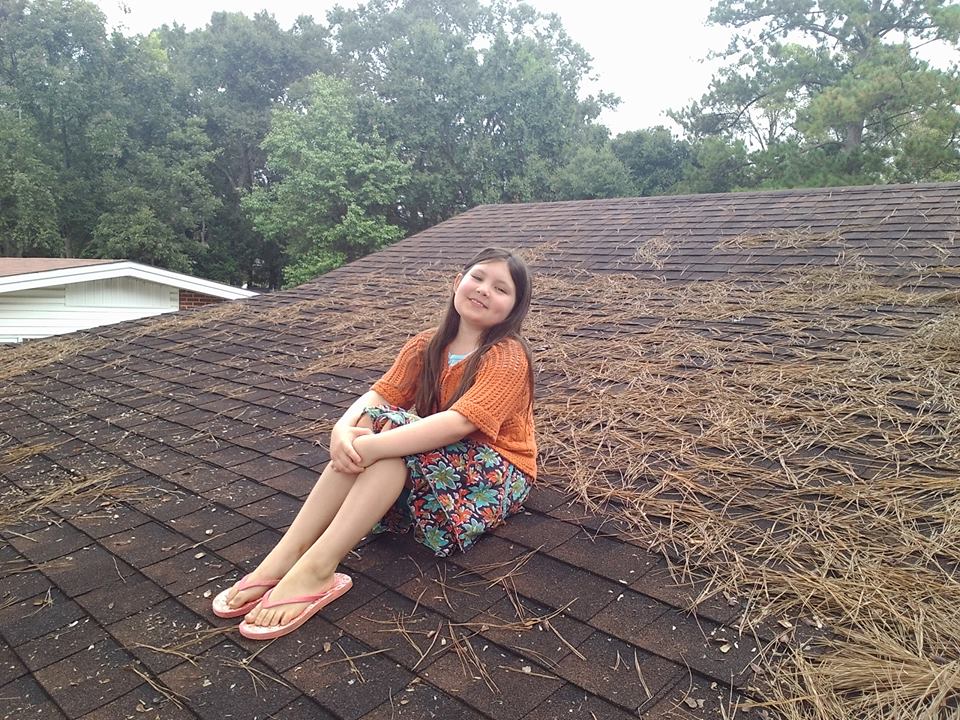 Up on the Roof….
