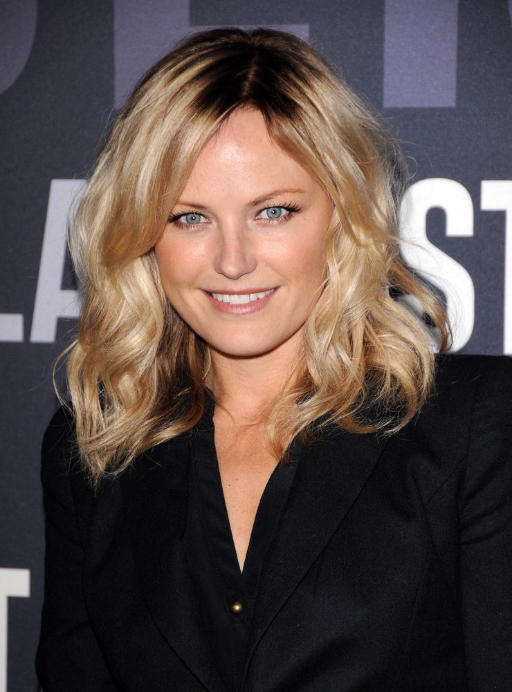 Picture of Malin Akerman