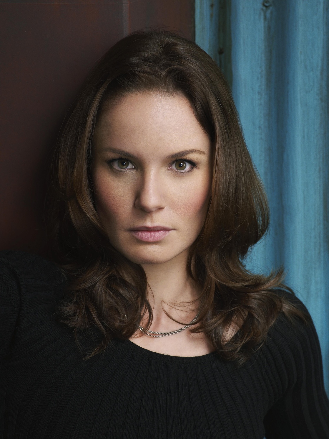 Picture of Sarah Wayne Callies
