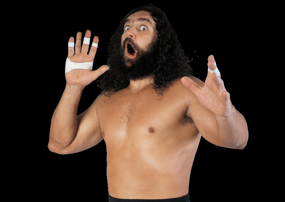 Bruiser Brody