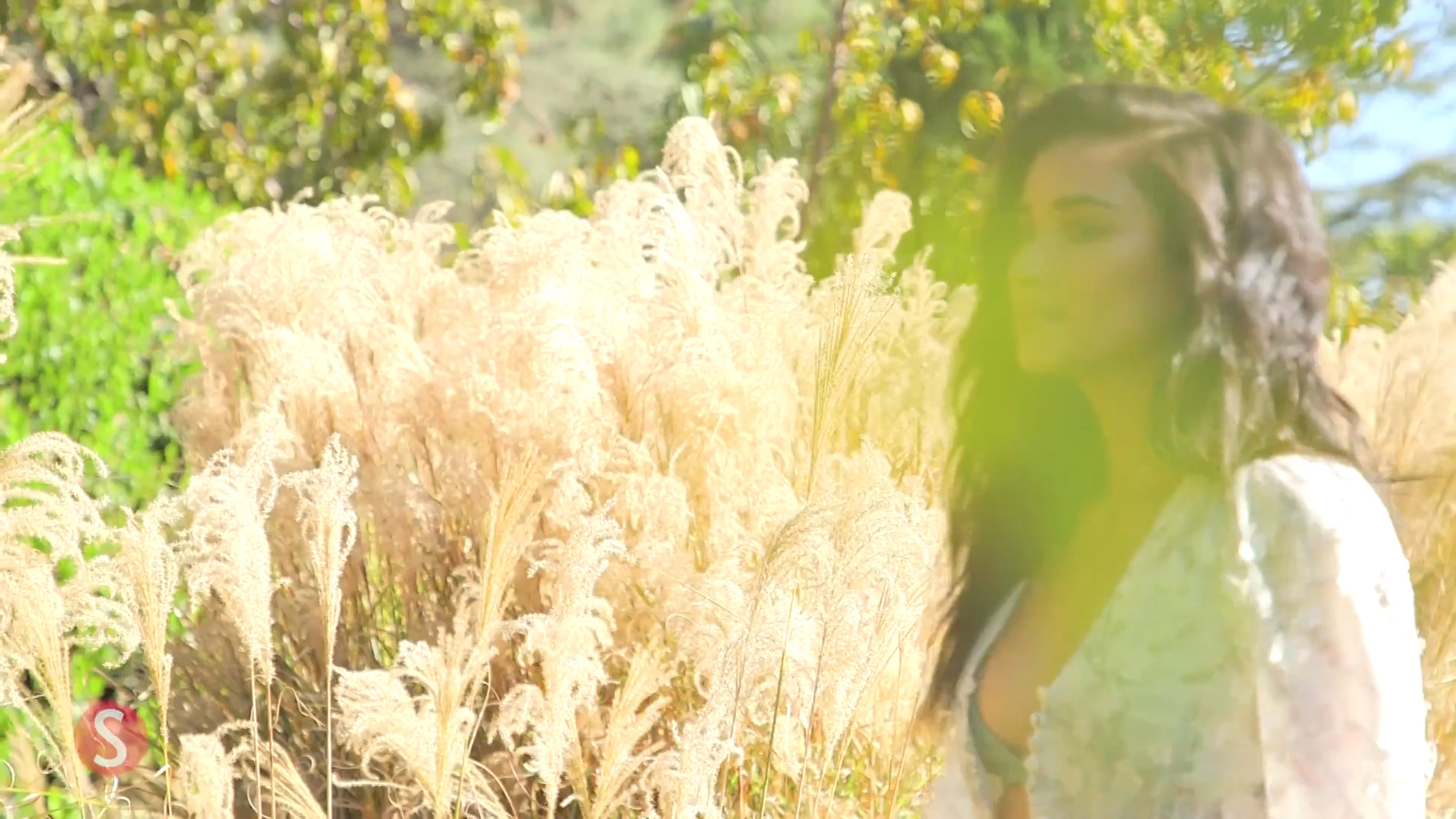 Shay Mitchell