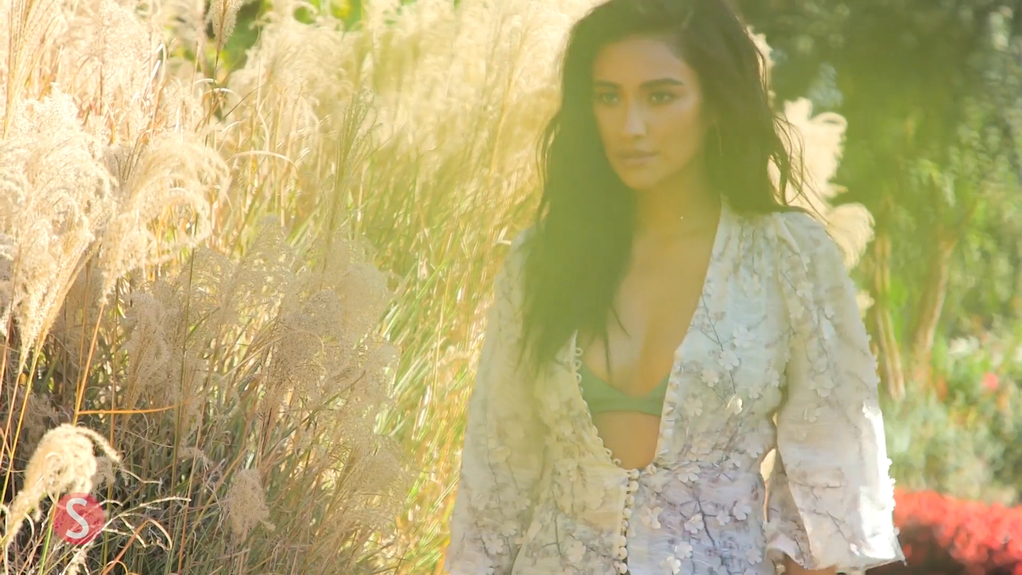 Shay Mitchell