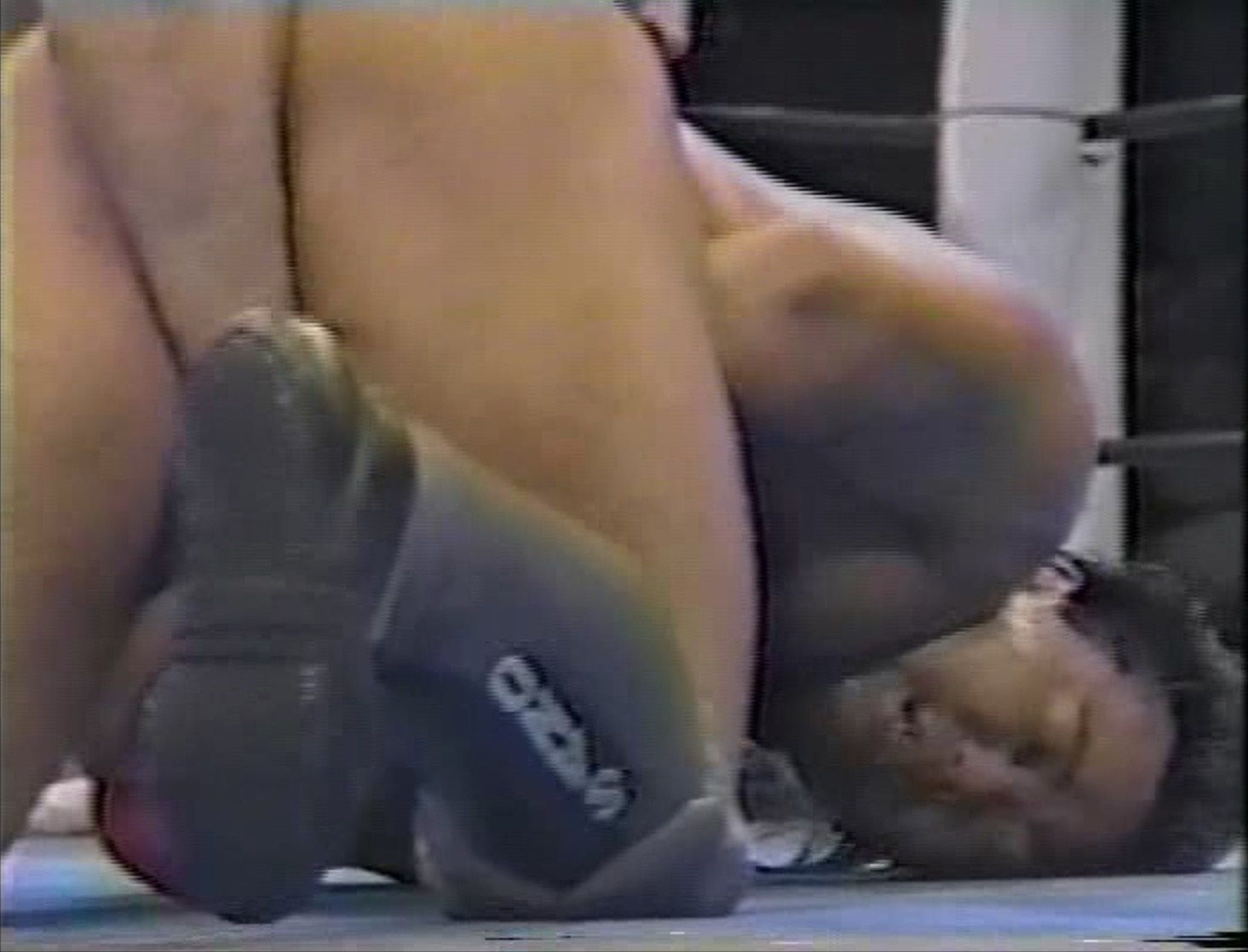 Wayne Shamrock vs. Naoki Sano (1991/05/19)