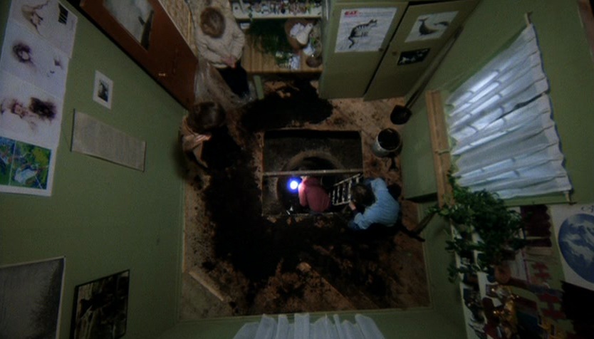 The Changeling (1980) The Changeling (1980)