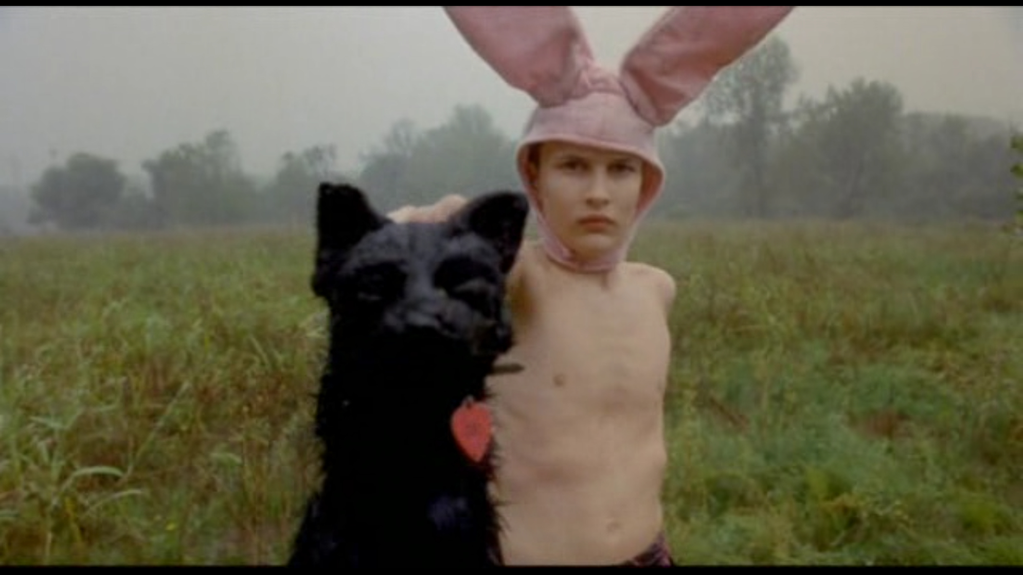 Gummo