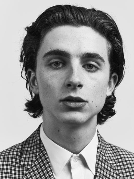 Picture of Timothée Chalamet