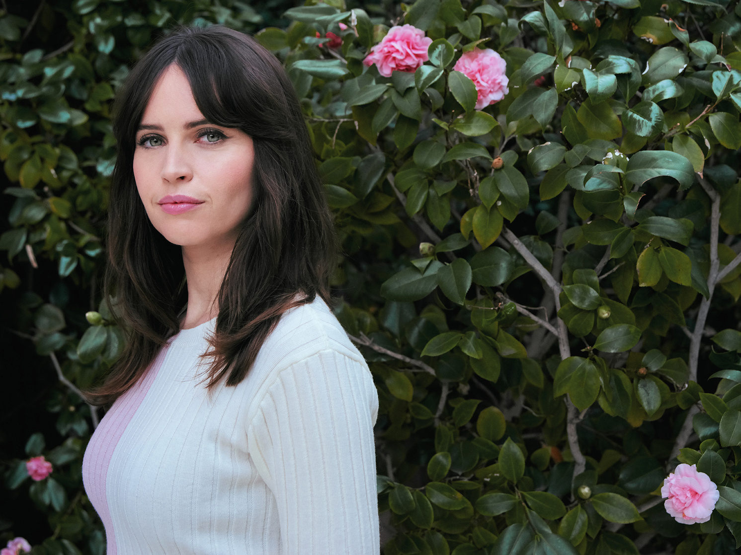 Felicity Jones Felicity Jones