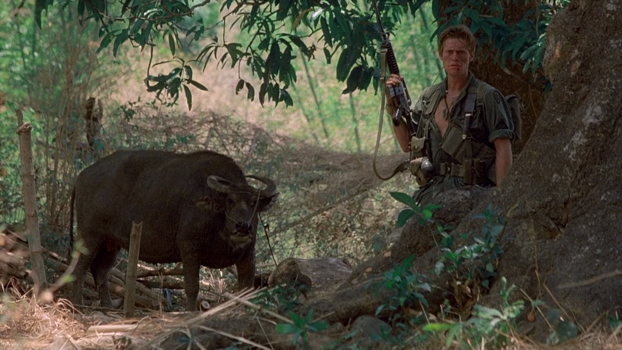Platoon